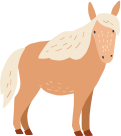 ani_pony